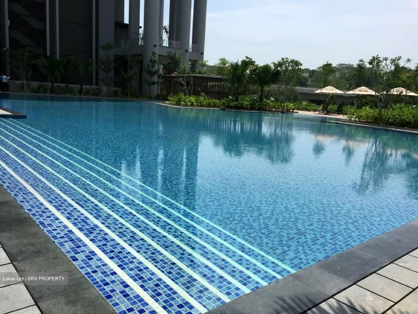 Skyline Residences (D4), Condominium #566219581